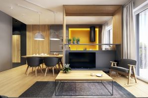Дизайн гостиная кухня студия