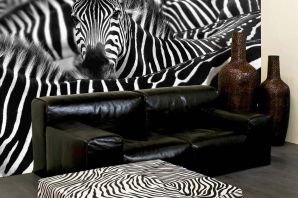 Шкура зебры в гостиной