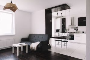 Дизайн квартиры в черно белом стиле