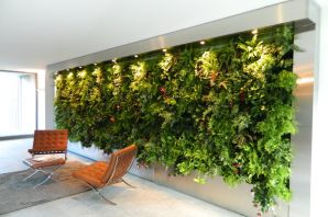 Стена из зелени в интерьере