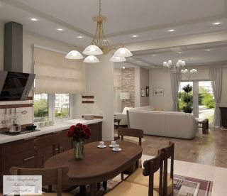 Дизайн кухни гостиной в частном доме