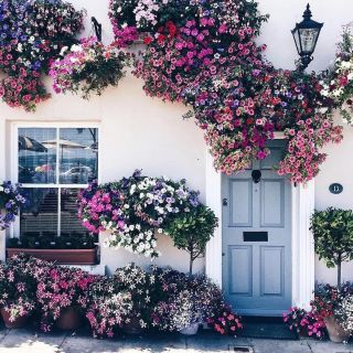 Красивые цвета домов