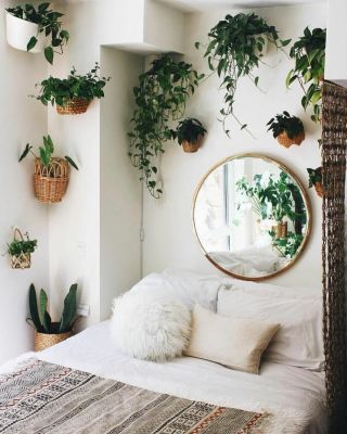Комнатные растения в интерьере спальни