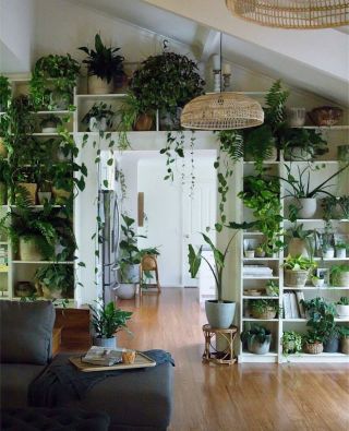 Растения в интерьере дома