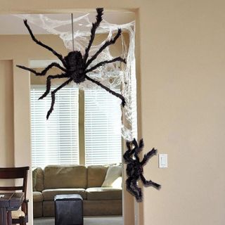 Огромный паук в доме