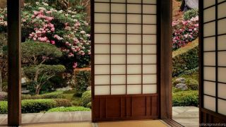 Японские двери