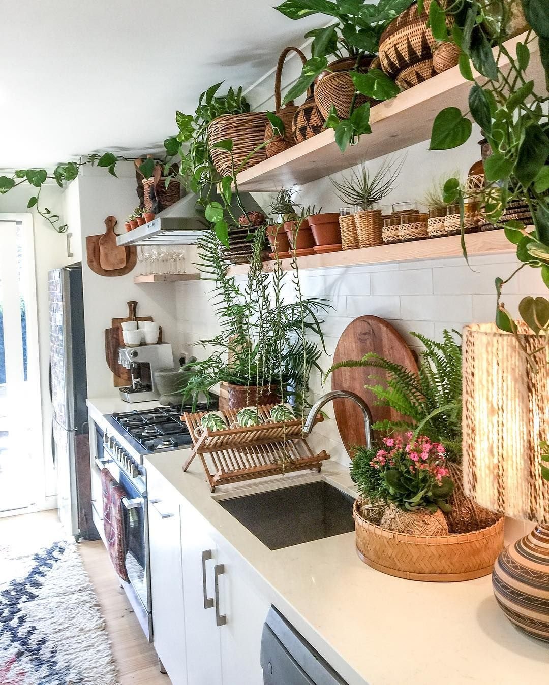 Какие живые растения подходят для размещения на кухне