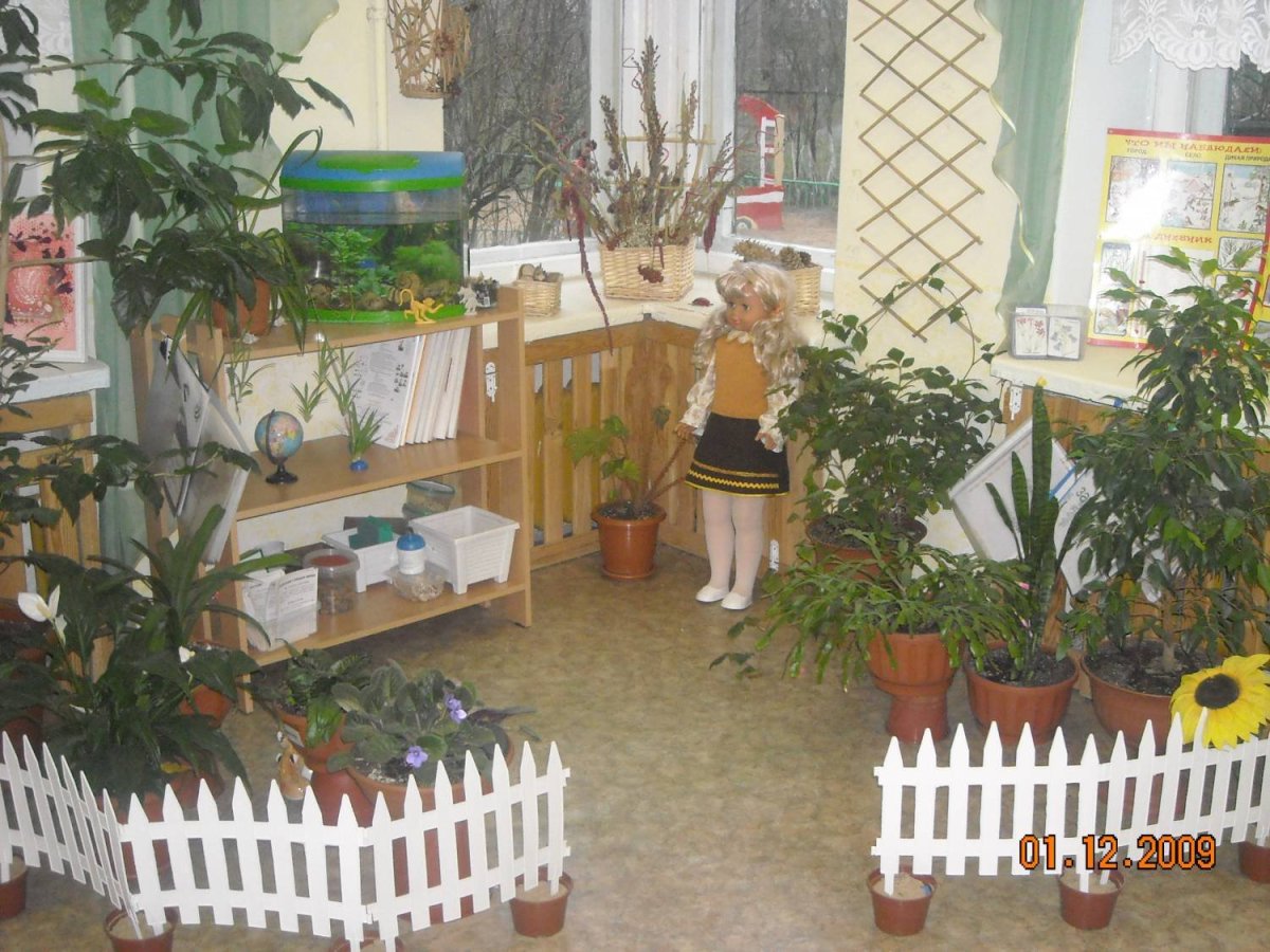 Уголок зимний сад в детском саду