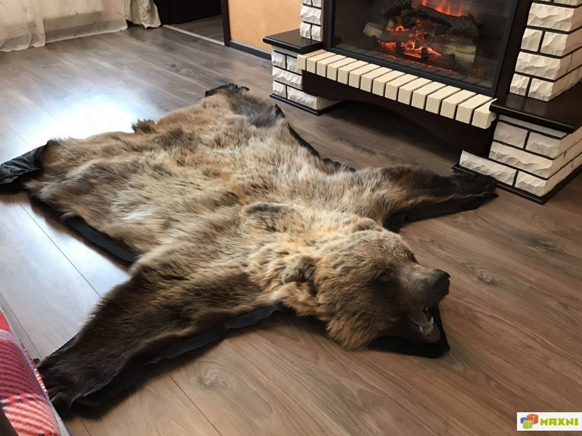 Шкура медведя