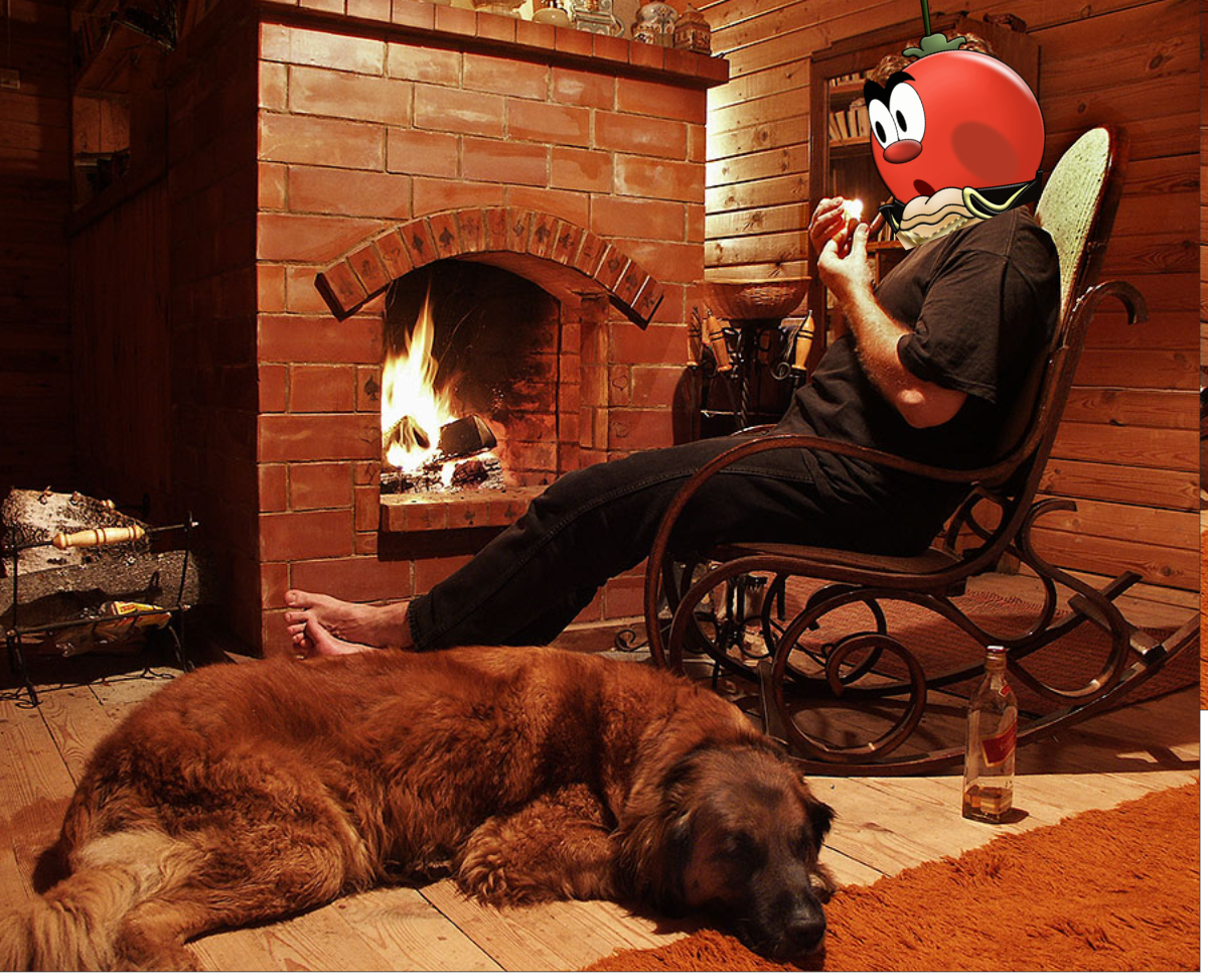 Камин и шкура медведя