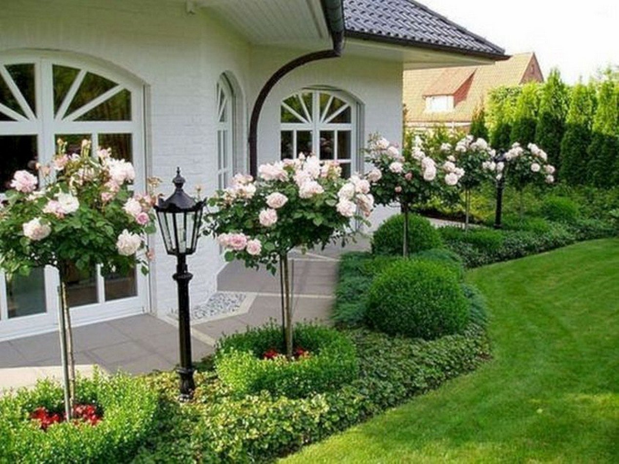 Розы в ландшафтном дизайне загородного дома - 65 фото