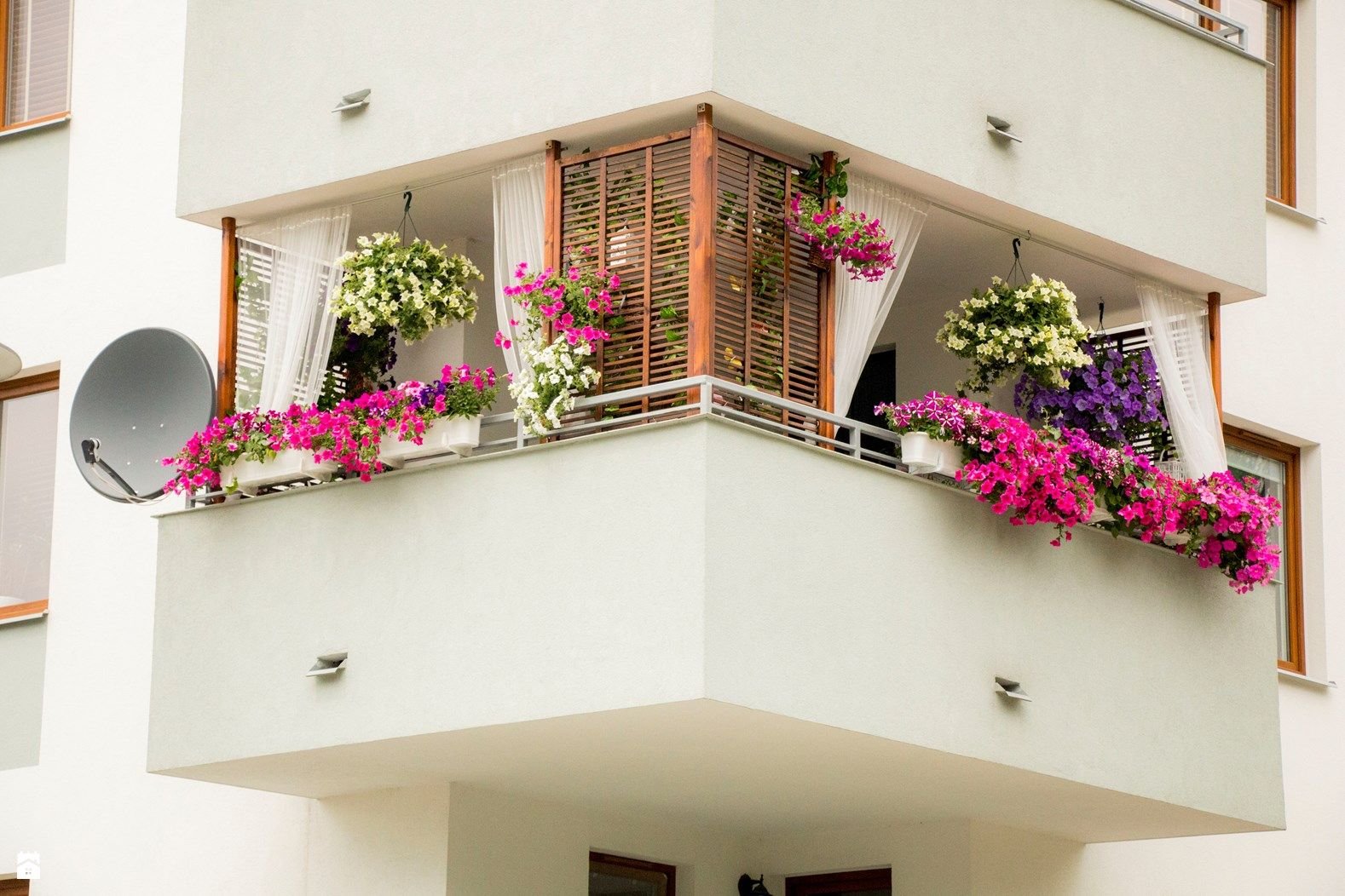 Северный балкон. Петуньи балкон Джульетты. Цветы на балконе. Красивый балкон. Украшение балкона цветами.