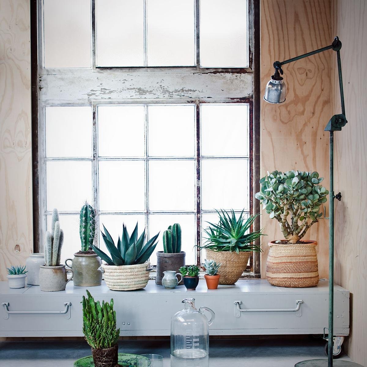 Стильные подоконники в интерьере