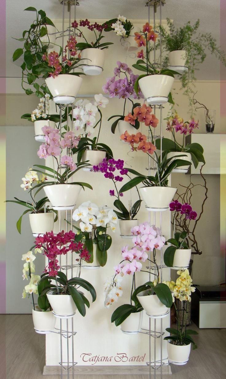 Полка Для Орхидей