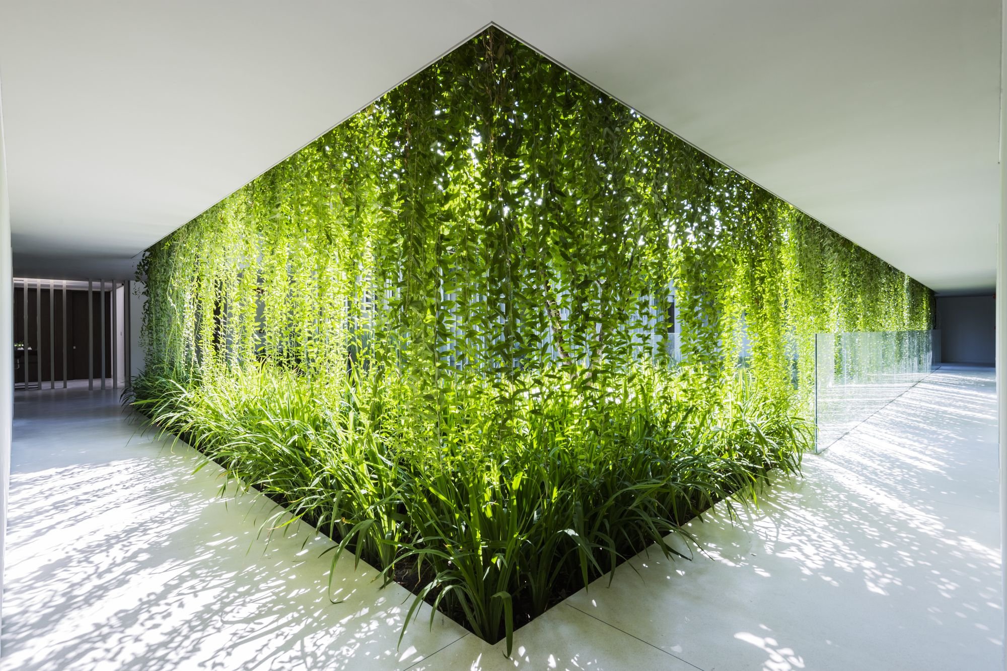 Озеленение потолка - 75 фото