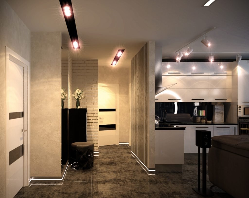 Кухня совмещенная с прихожей