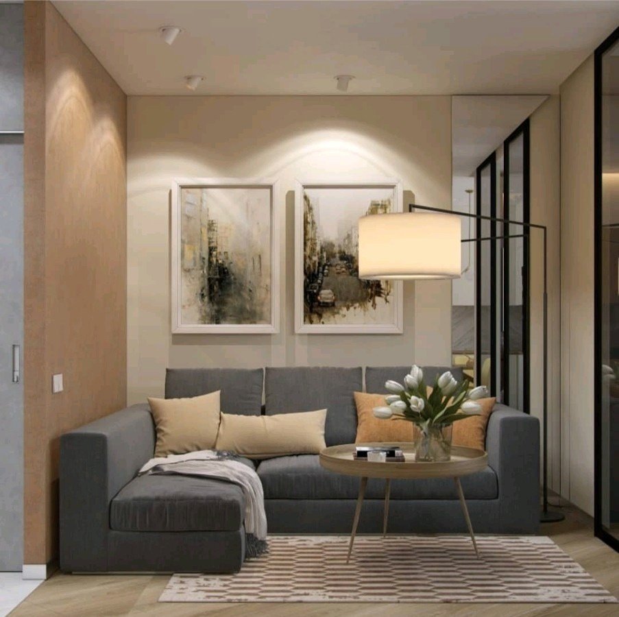 Проходная гостиная без окон