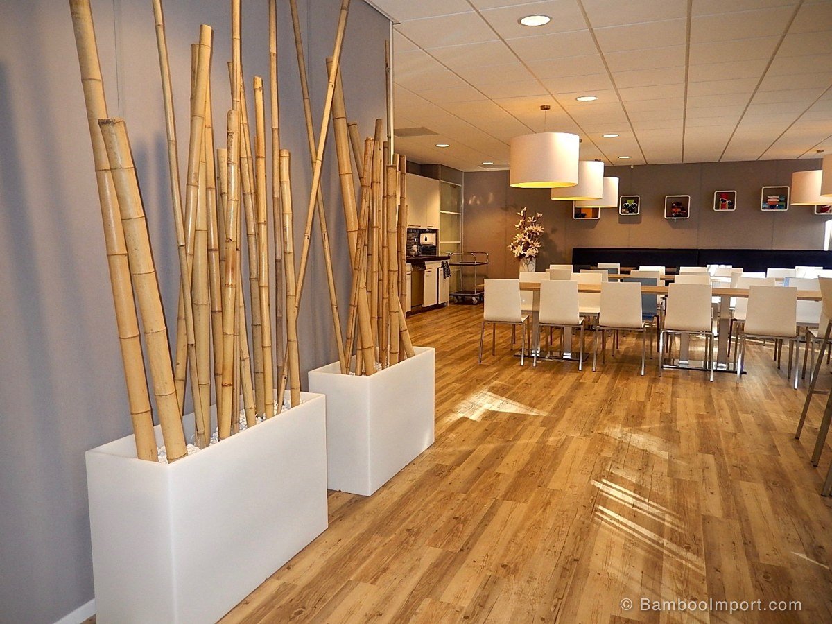Стволы бамбука в интерьере