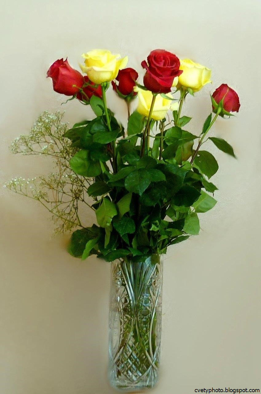Свежие розы в вазе. Букет роз. Букет роз в вазе. Букеты цветов в вазах. Живые розы букет.