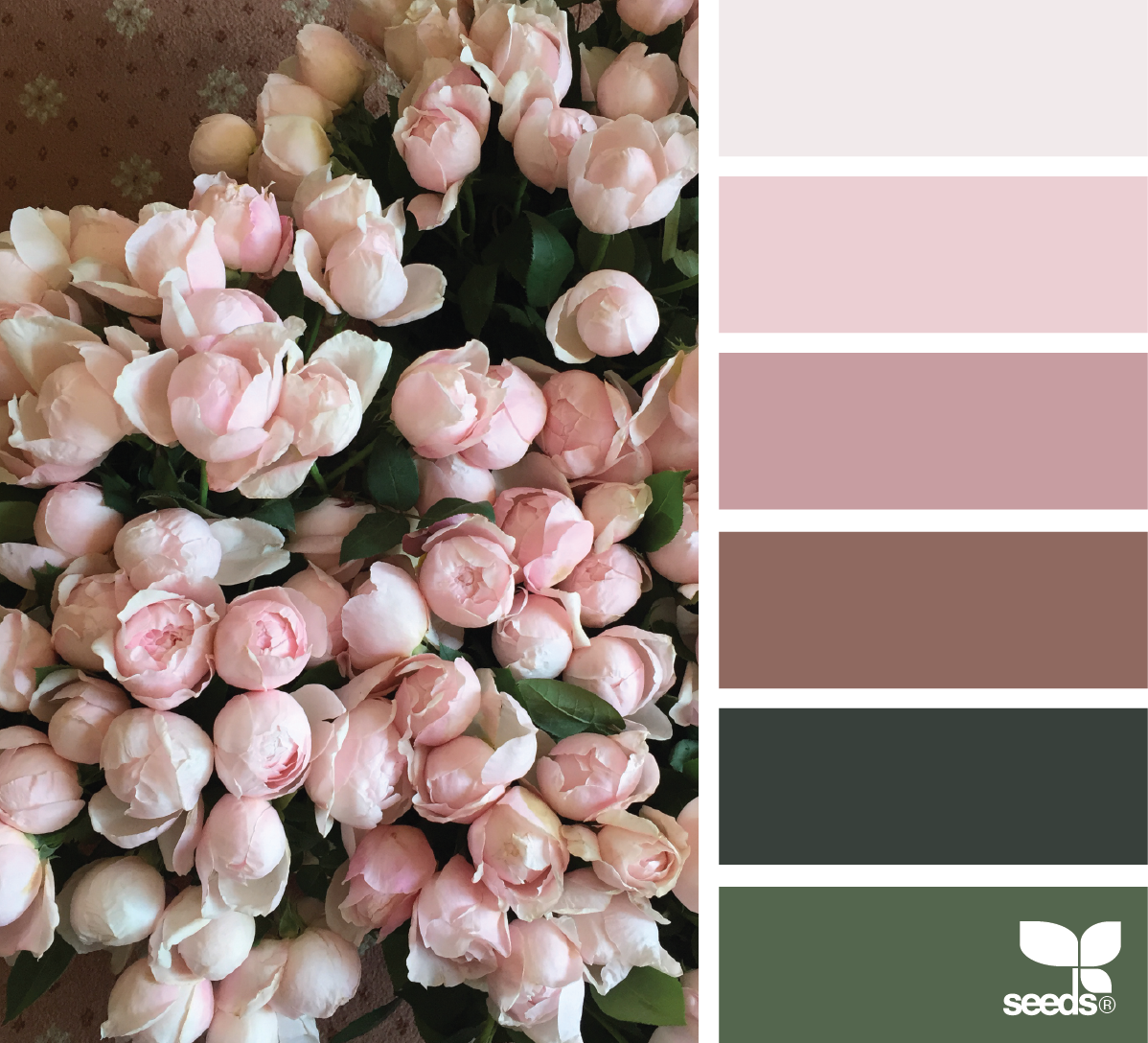 Нюдовый тиккурила цвета в интерьере