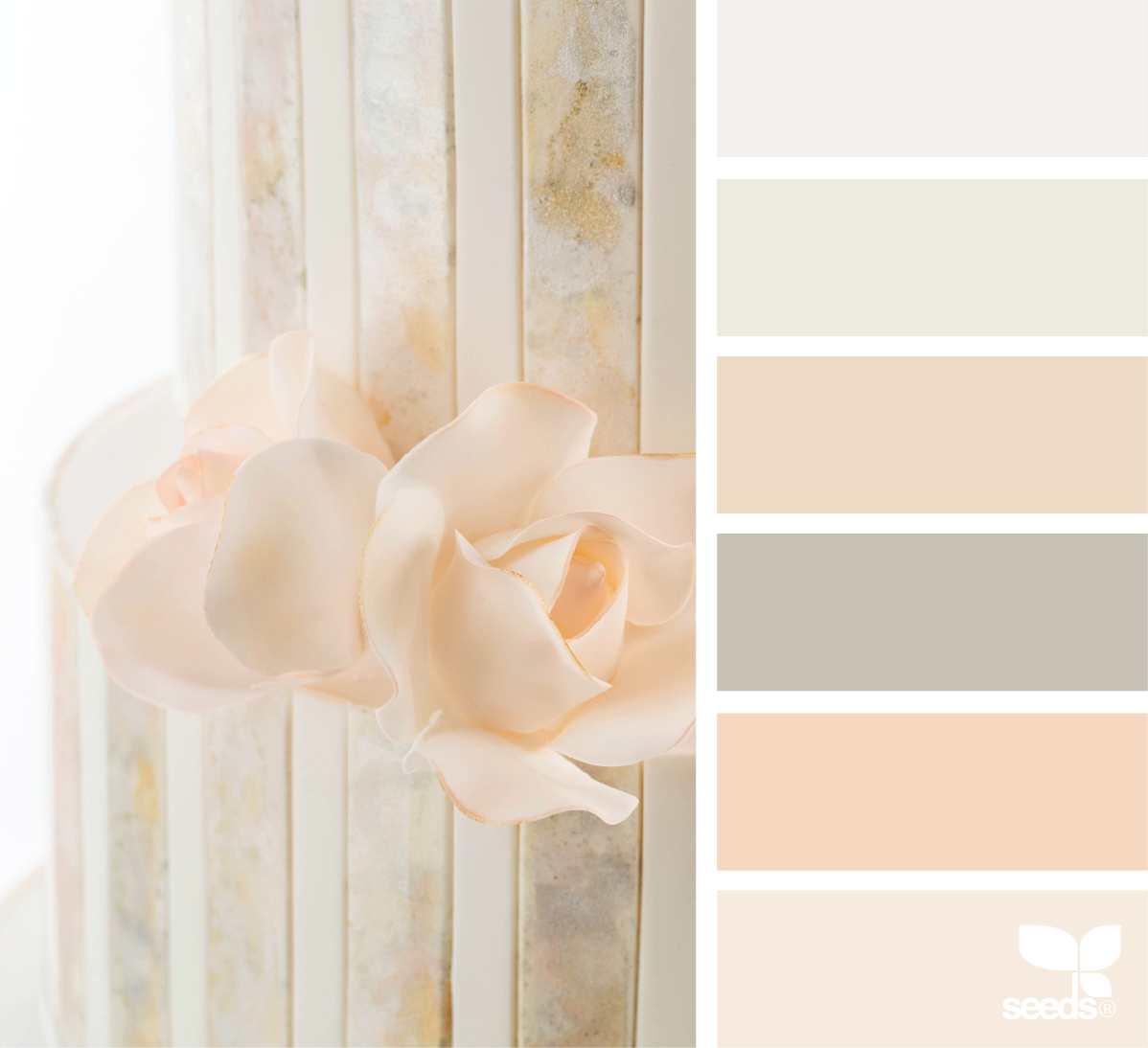 Колор баланс Палитры пудровый