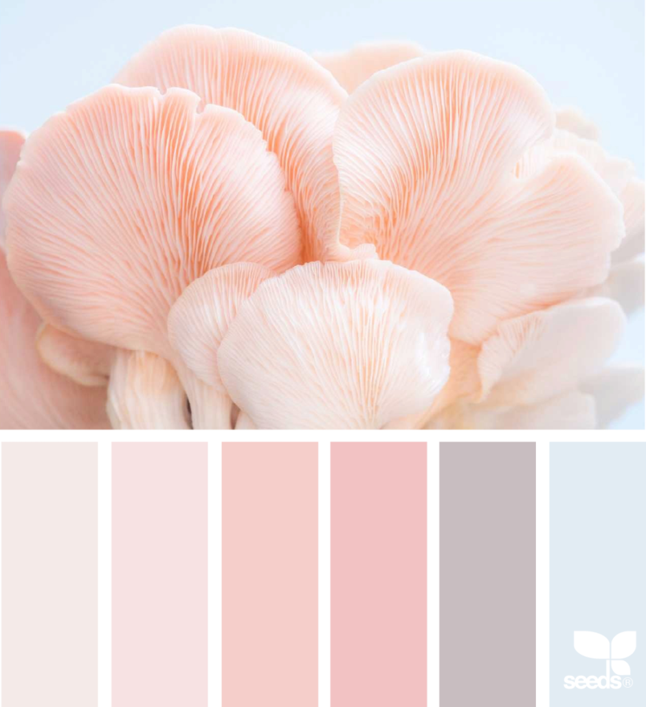 Палитра пастельных тонов РГБ