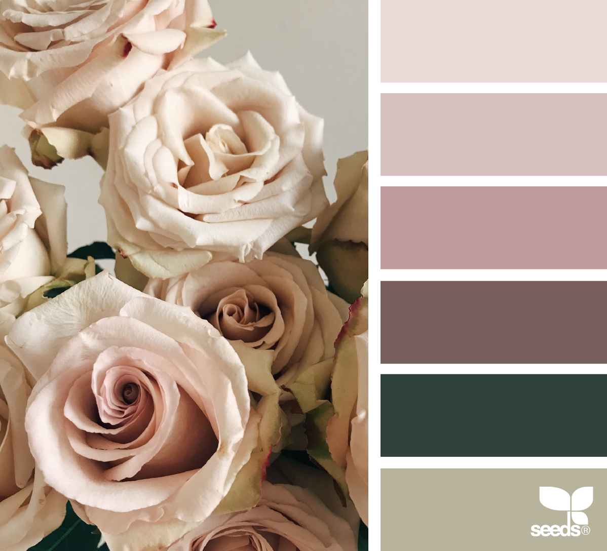 Палитра нюдовых оттенков