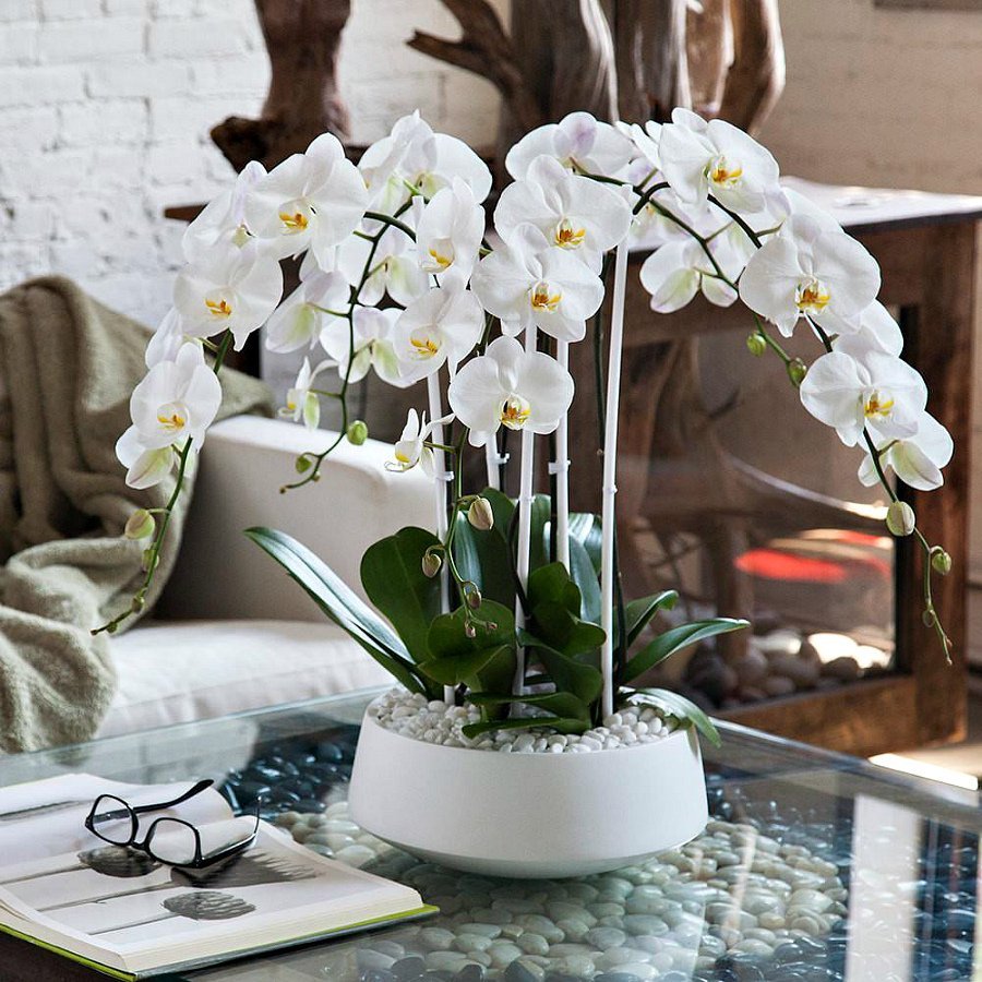 Орхидея в кашпо белая H-29см