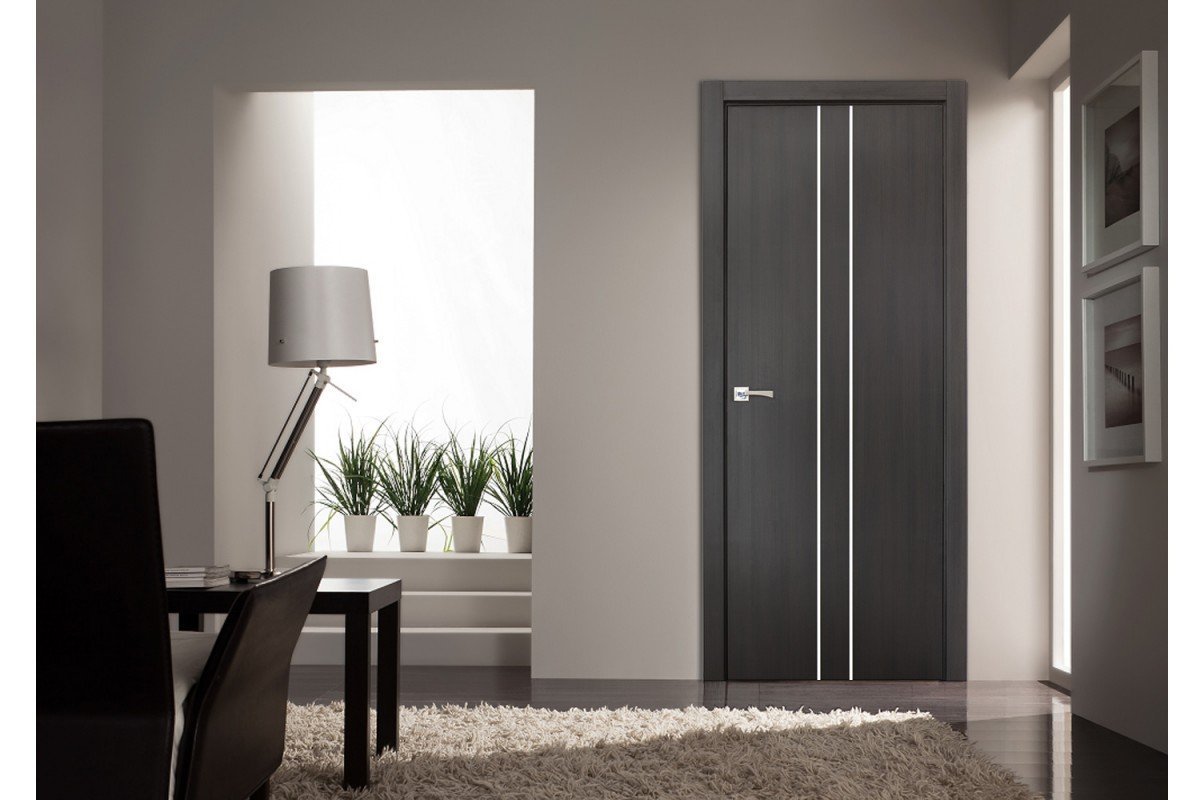 Стронг 100 дверь