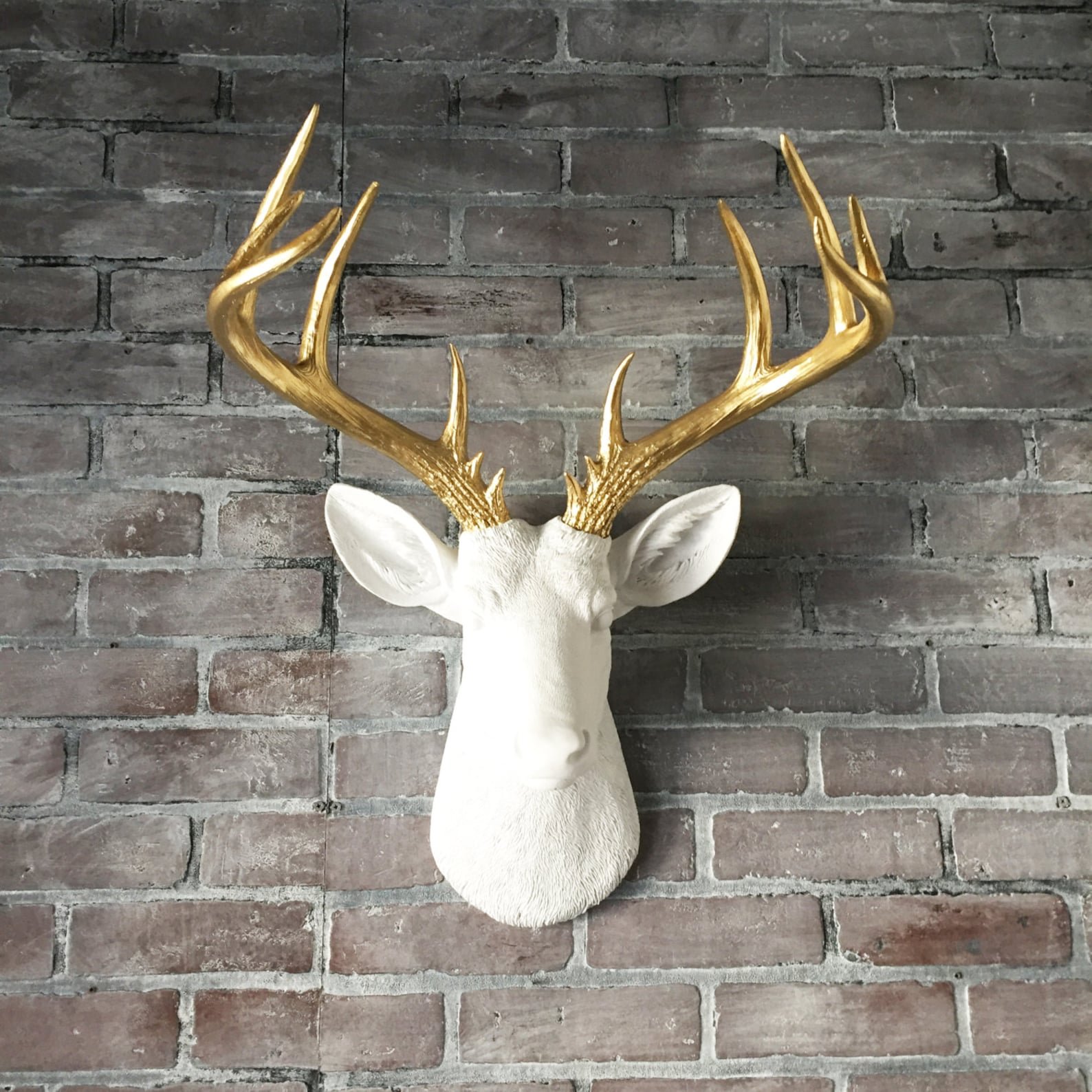 Купить голову на стену. Голова оленя декор. Голова оленя на стену. Голова оленя в интерьере. Олень на стене.