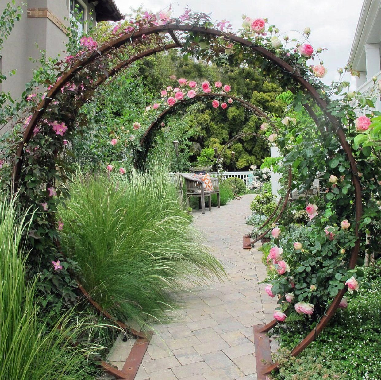 Арка в саду – зеленый свод естественной красоты + фото