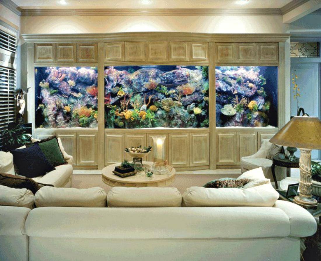 аквариум на угловом диване
