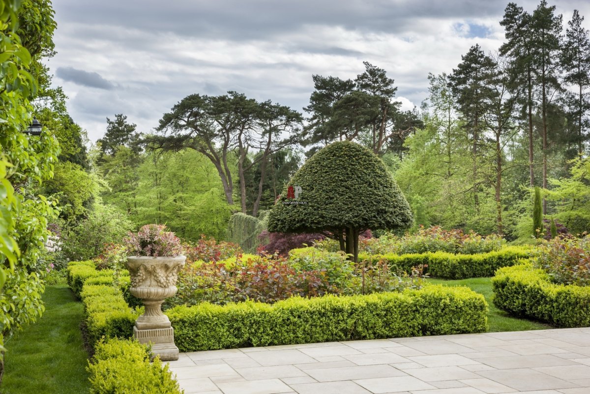 Сады Майендорф Александр Гривко