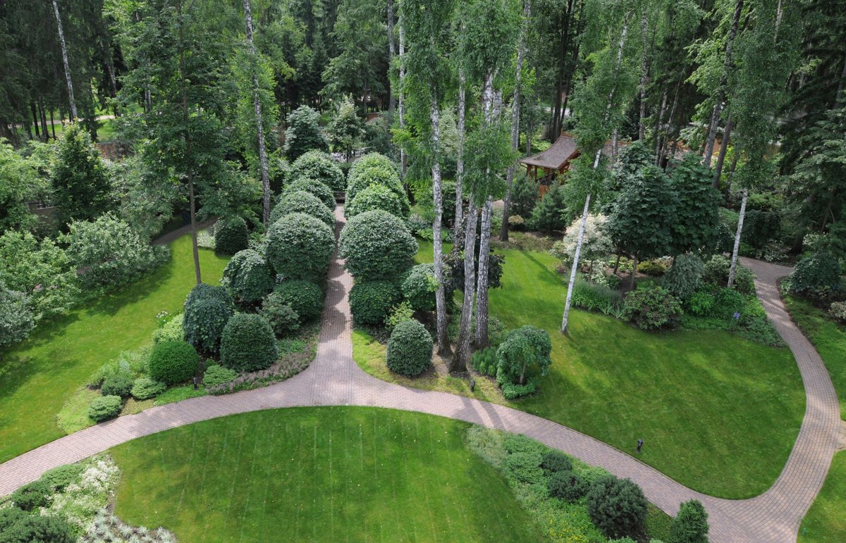 Владимир Колесник ландшафтный дизайнер