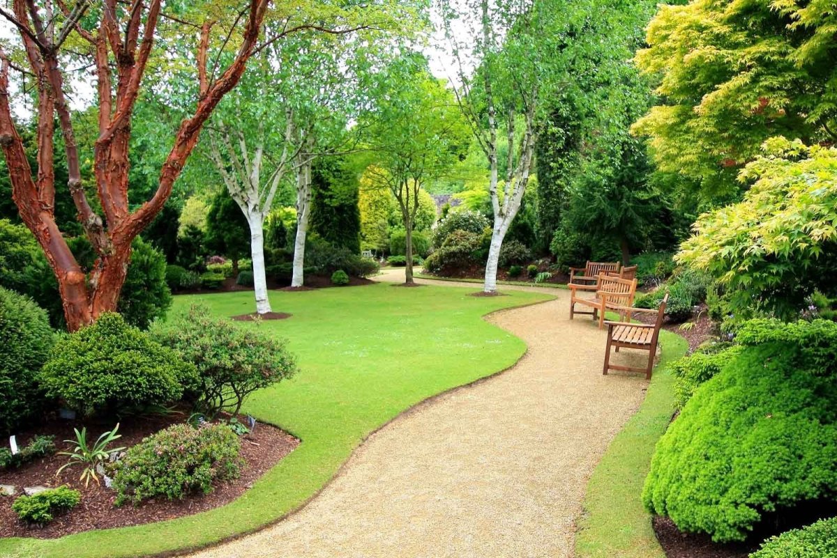 Куртина в ландшафтном дизайне