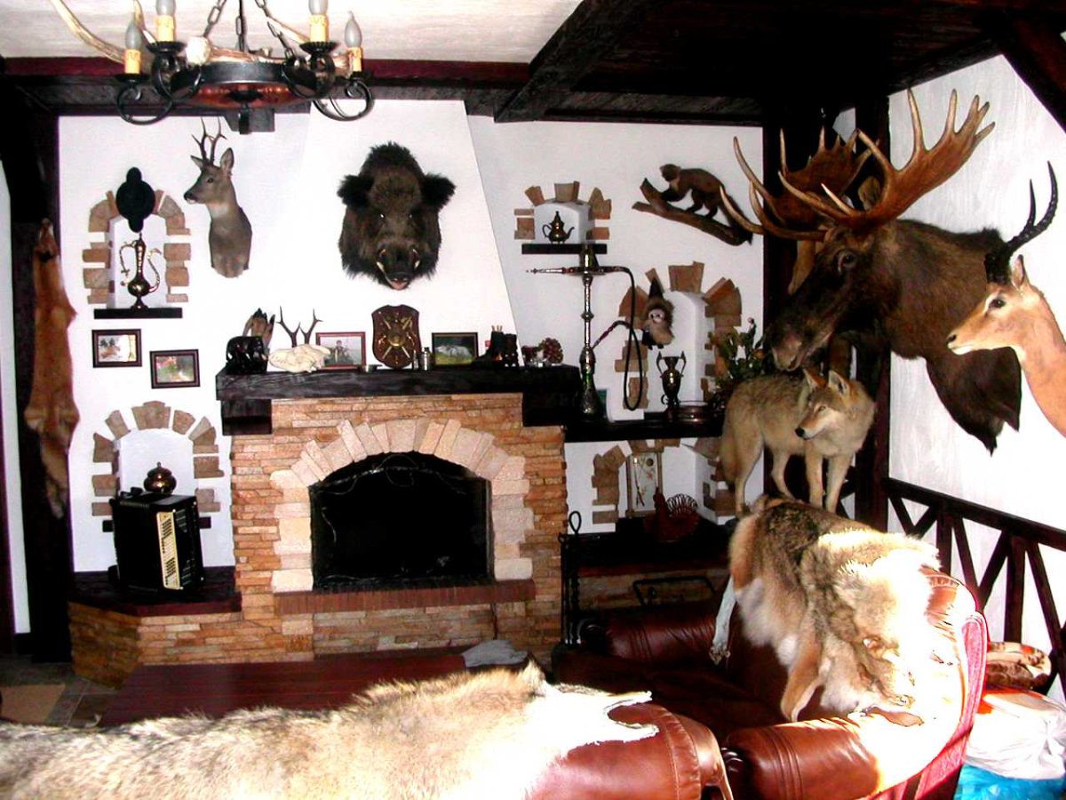 Охотничий домик с чучелами