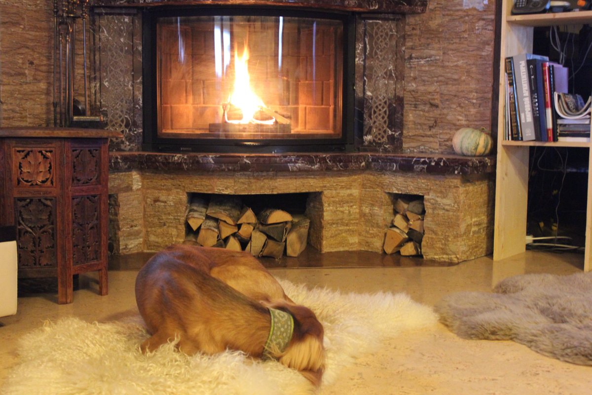 Шкура у камина