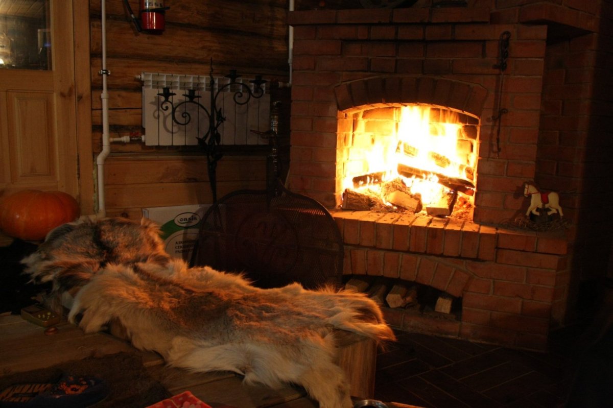 Шкура около камина