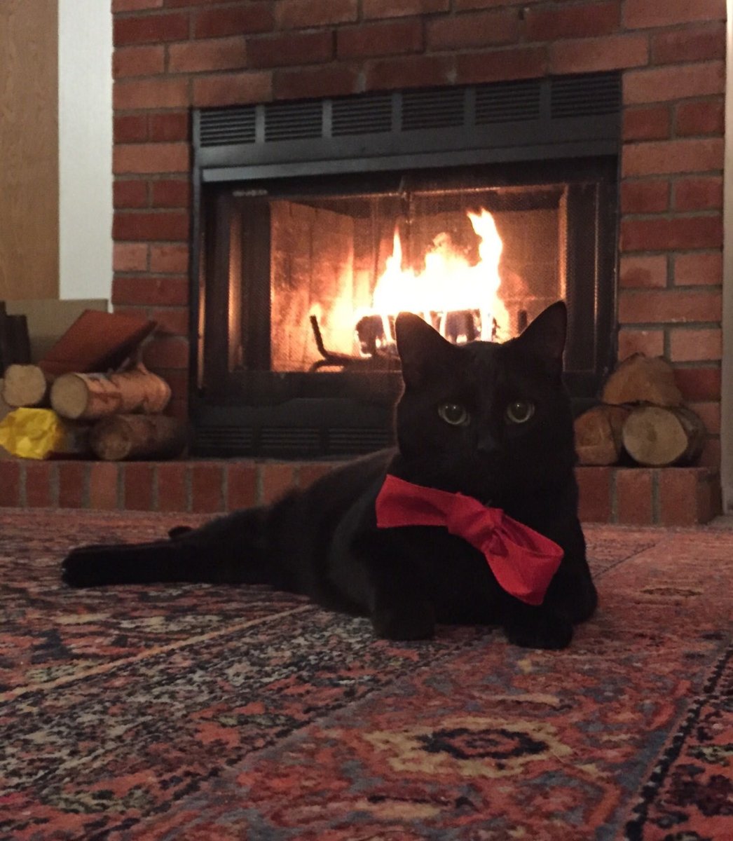 Охотничий домик интерьер