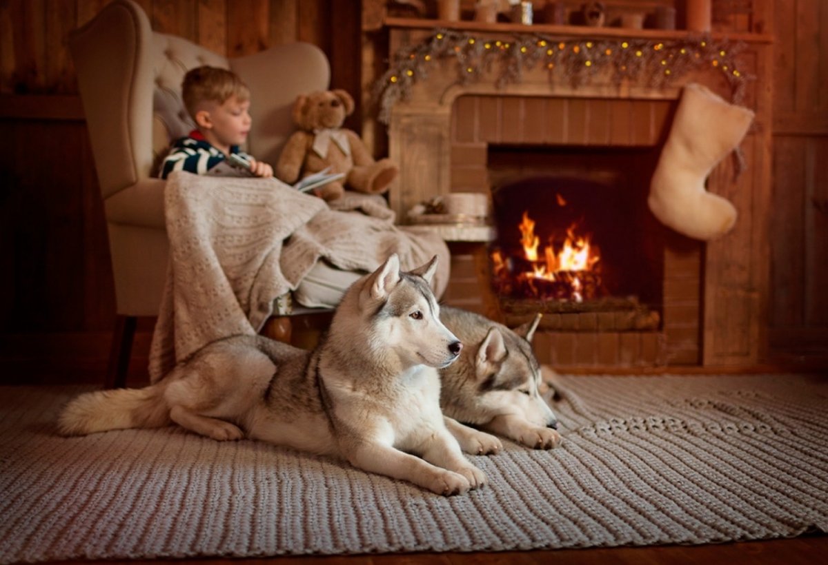 Камин и шкуры животных