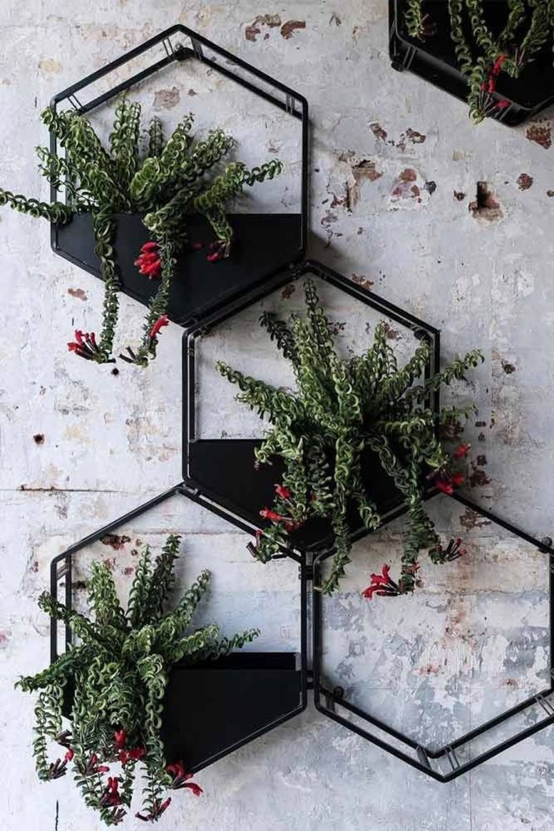 Кашпо лофт на стену