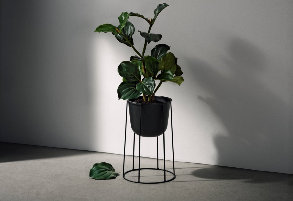 Цветы в горшках в стиле лофт