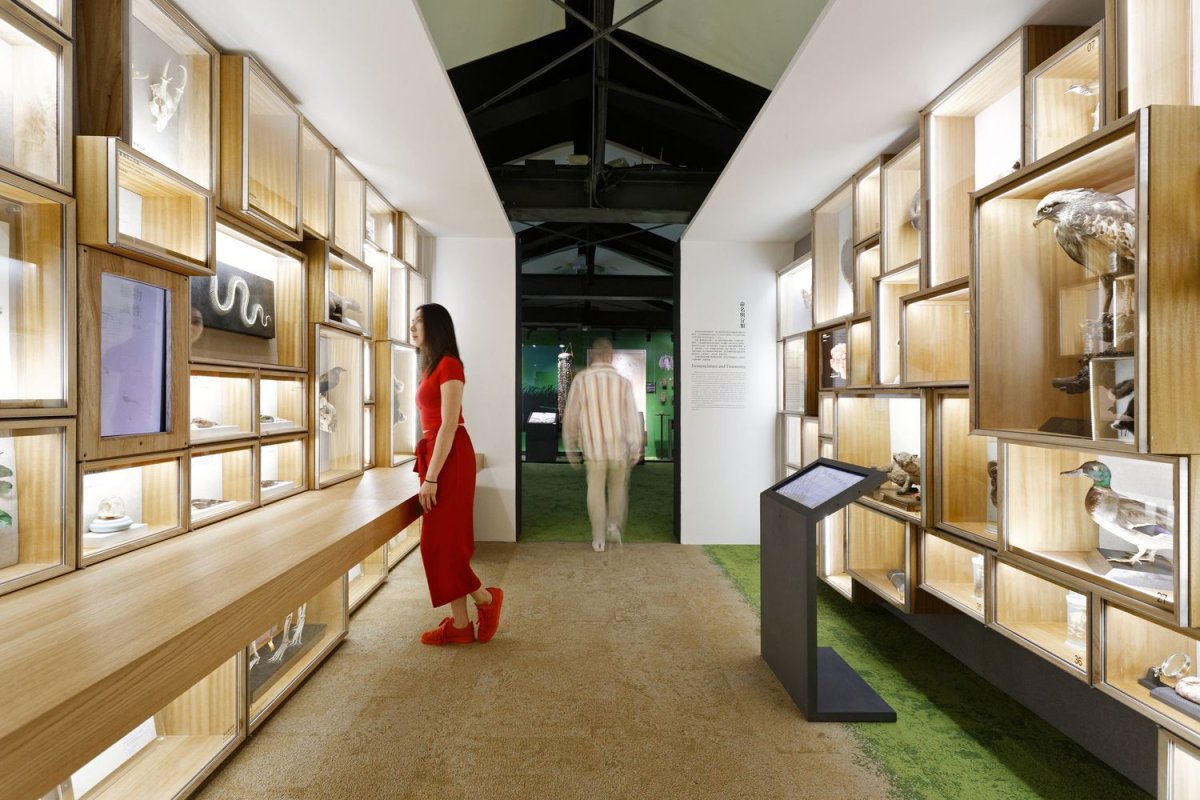 Интерьер современного музея