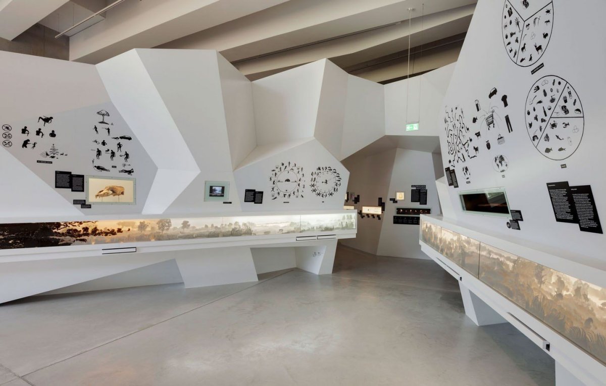 Современное выставочное пространство