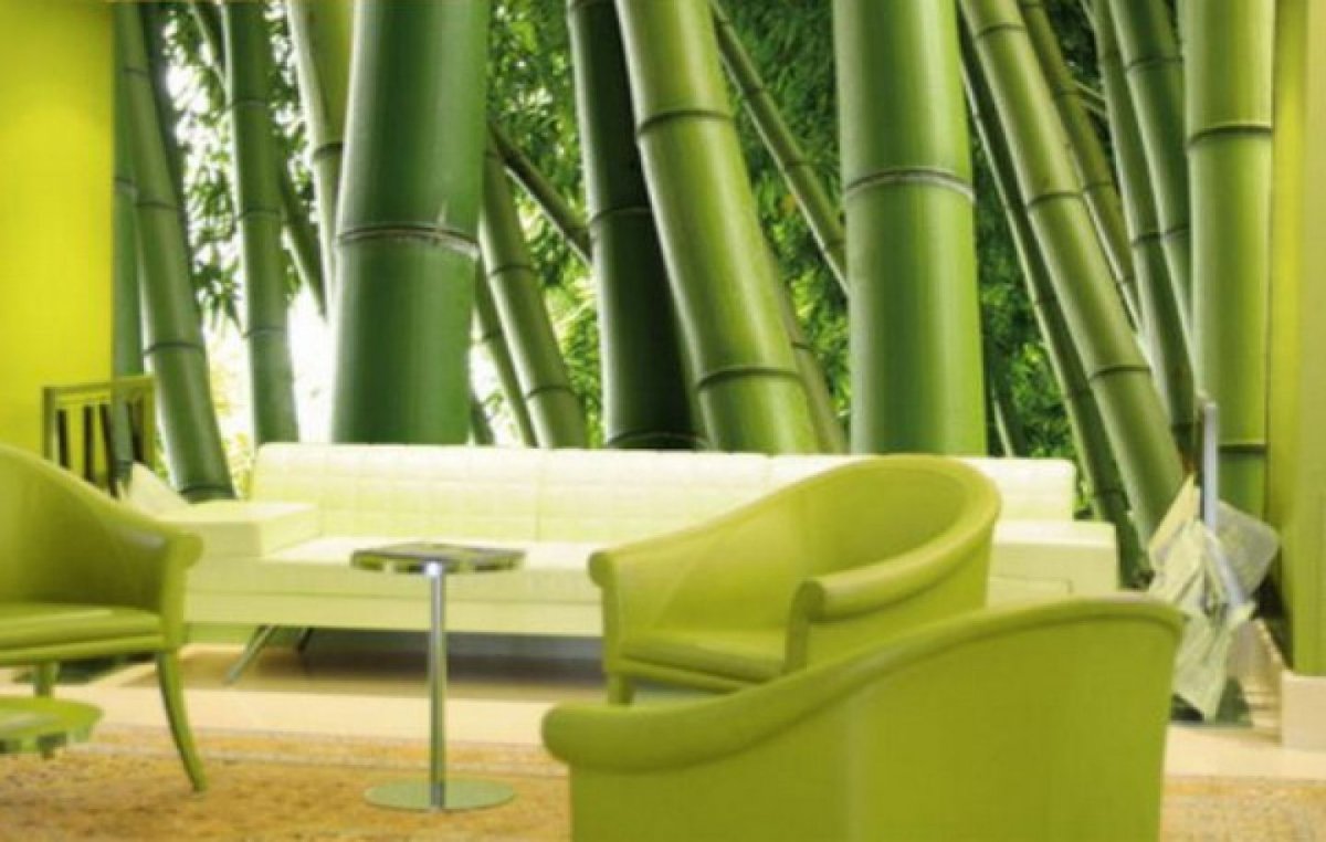 Бамбук в интерьере