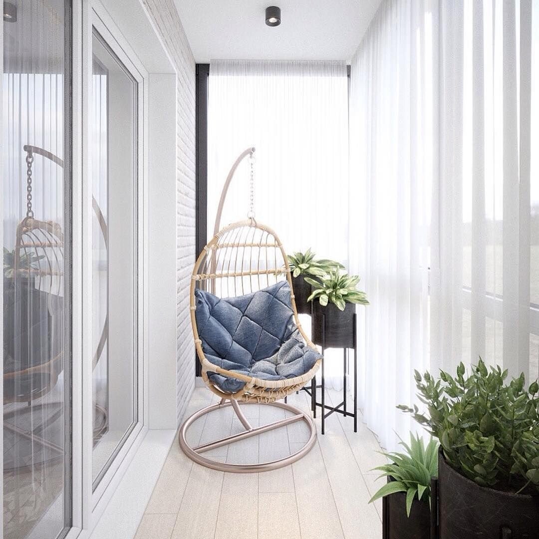 Досветка суккулентов