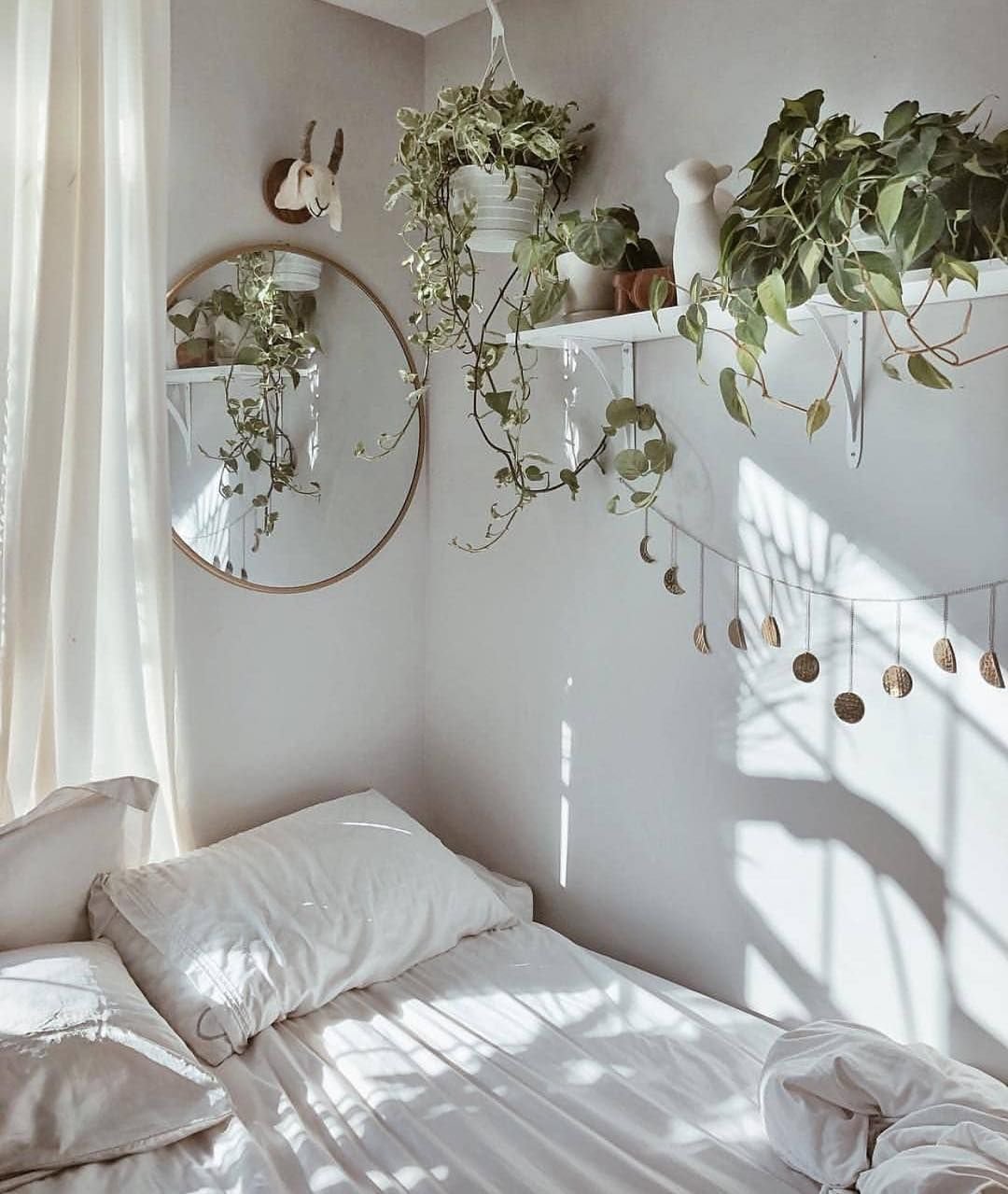 Эстетичные комнаты с лианами - 77 фото