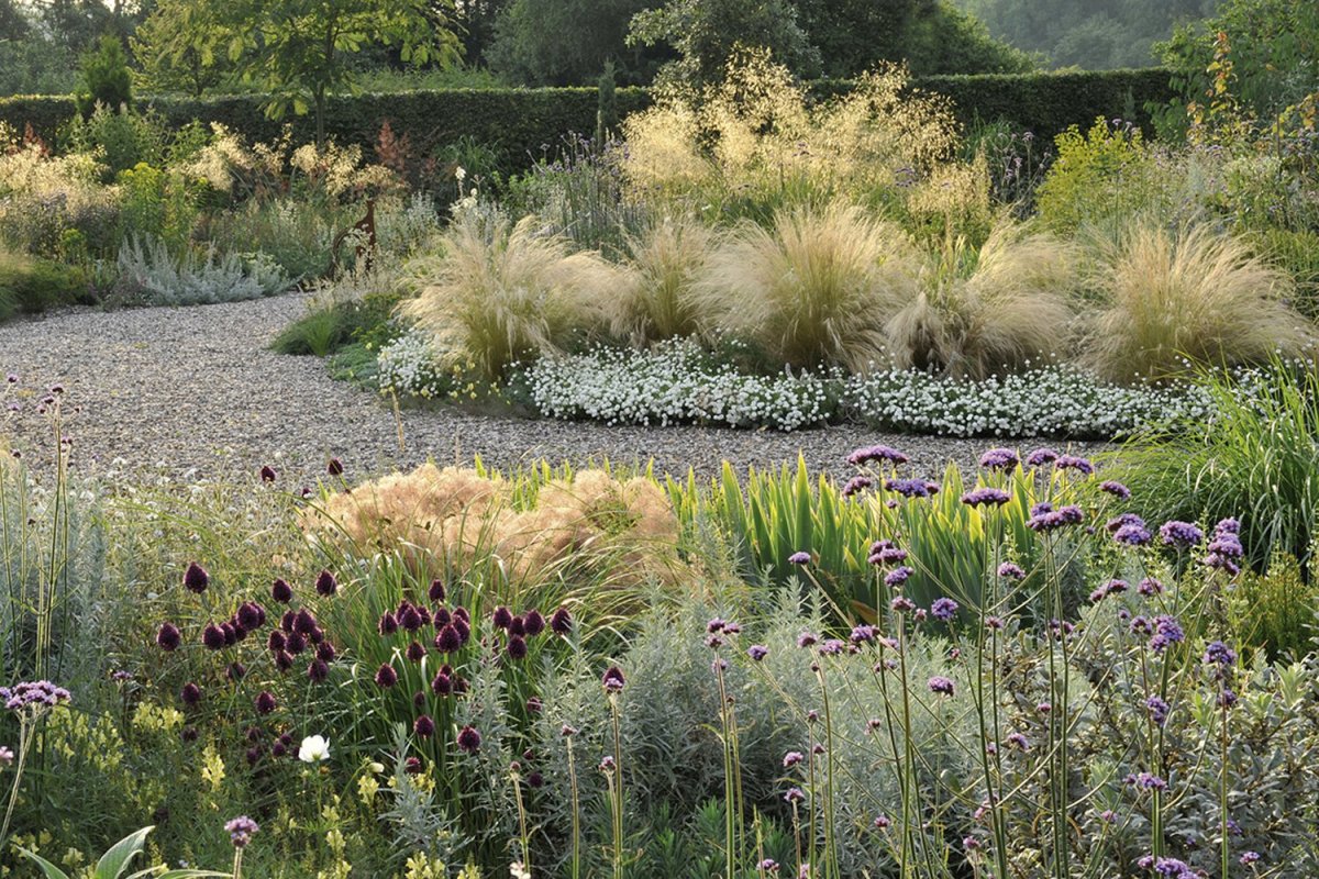 Миксбордер Лаванда овсяница