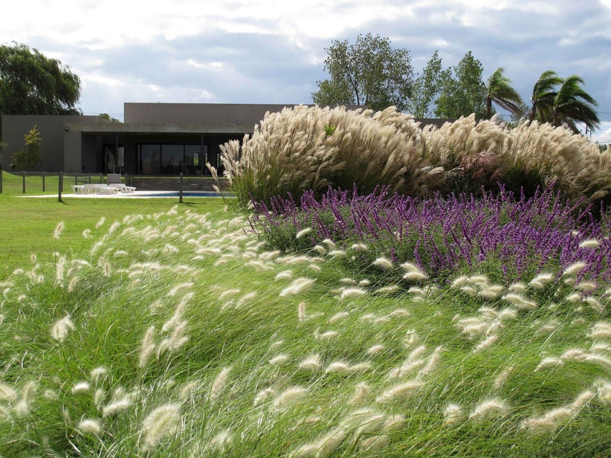 Бернарда Трейнора ландшафтный дизайнер