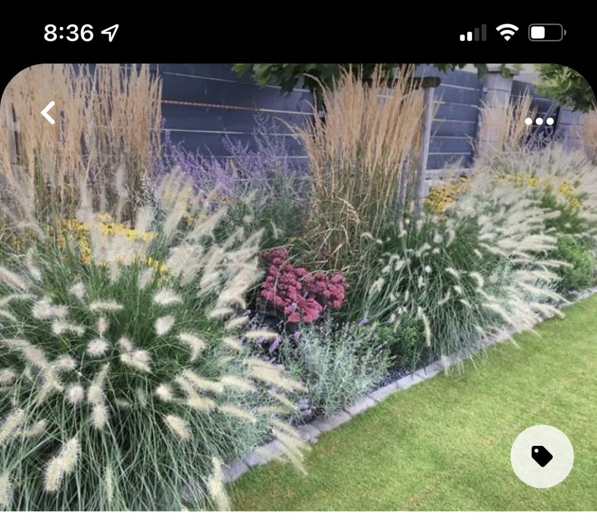 Пит Удольф натургарден